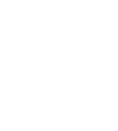 Bosque de Embu 12